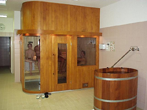 Sauna (ilustrační obrázek)